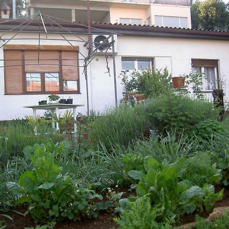 Apartman Thea Appartement Opatija Buitenkant foto