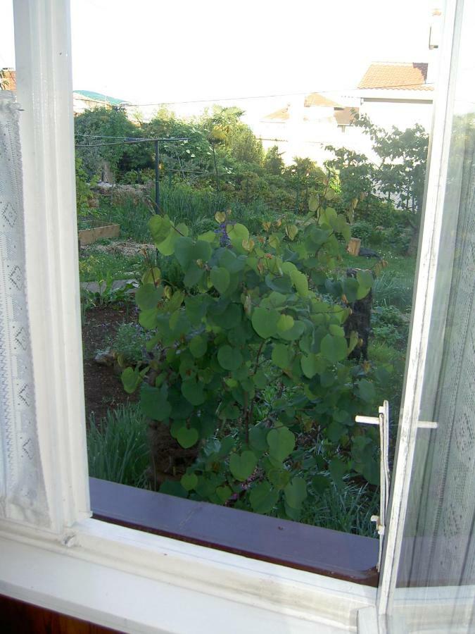 Apartman Thea Appartement Opatija Buitenkant foto