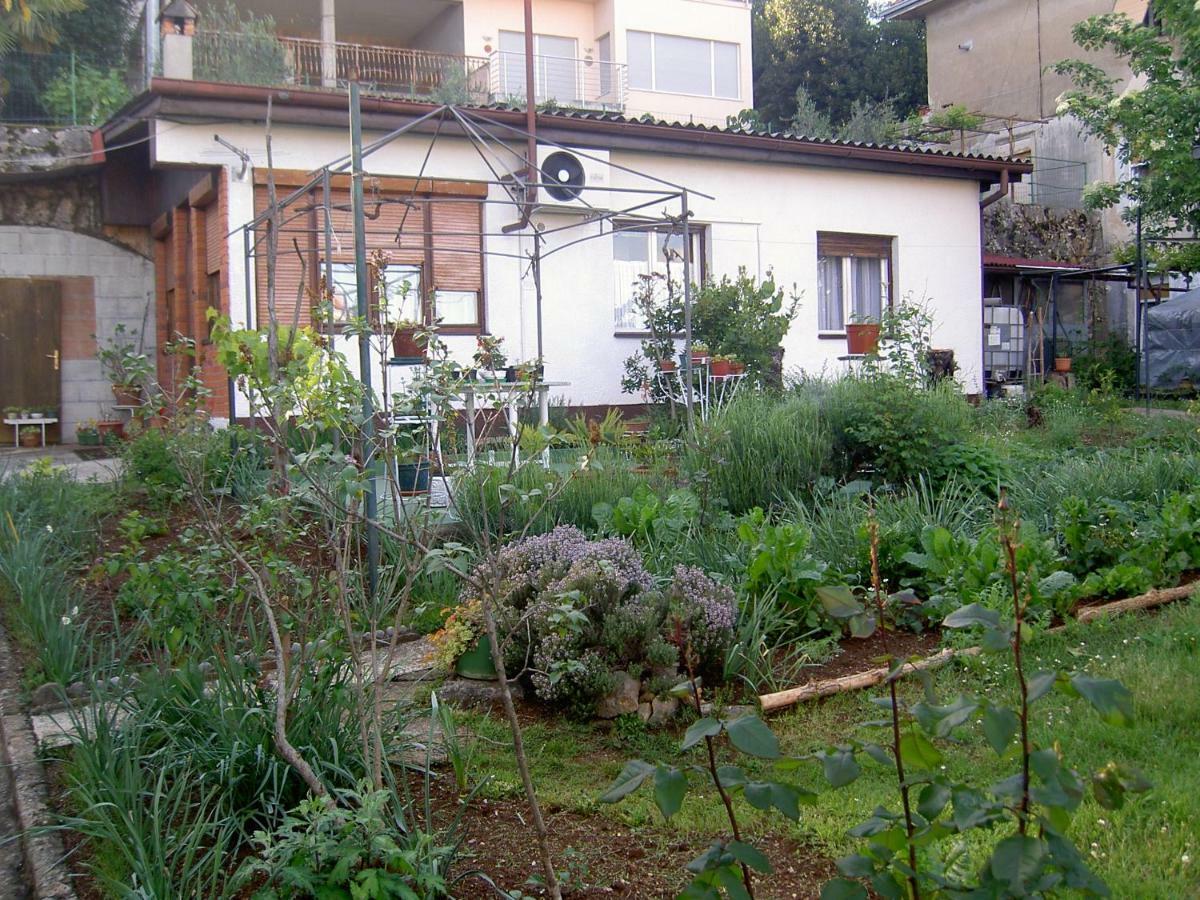 Apartman Thea Appartement Opatija Buitenkant foto